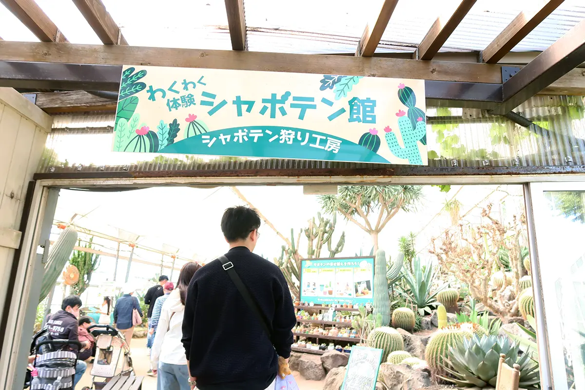 シャボテン狩り工房