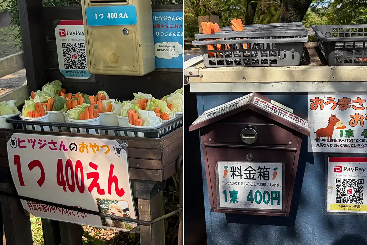 伊香保グリーン牧場の動物用おやつと料金箱。1つ400円でPayPay決済にも対応