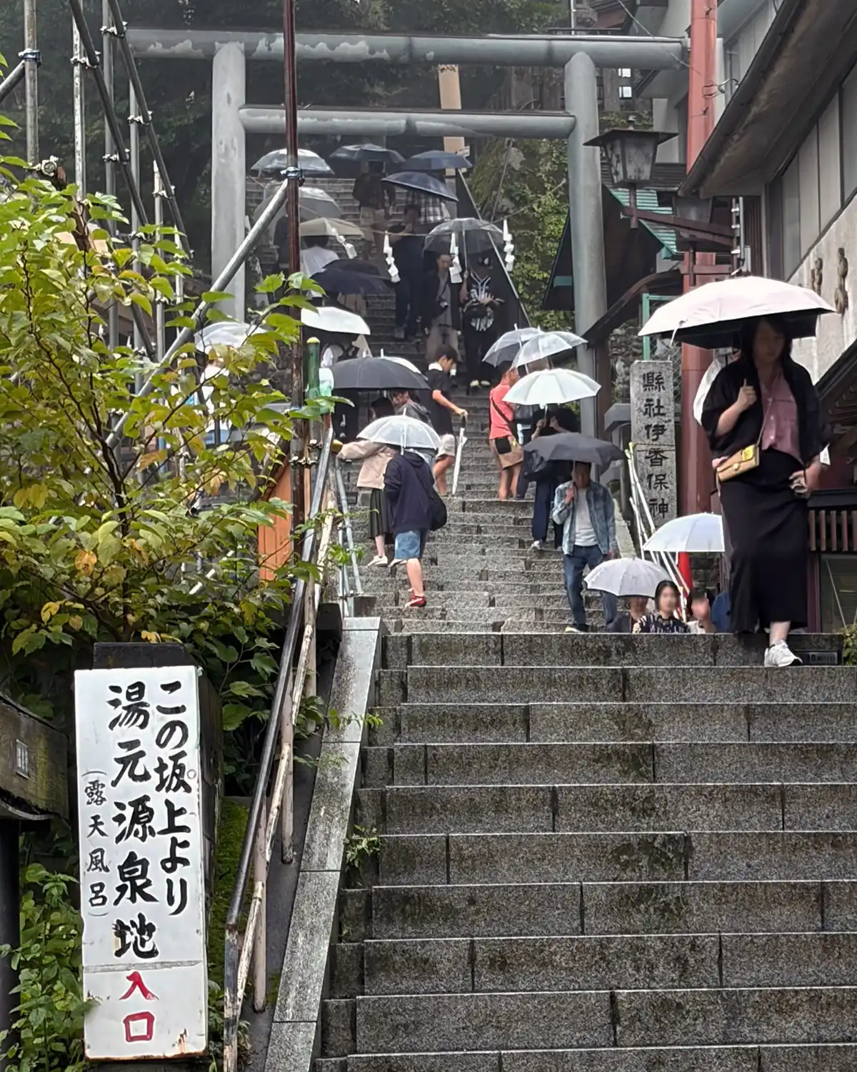 雨の伊香保神社へ続く石段と鳥居