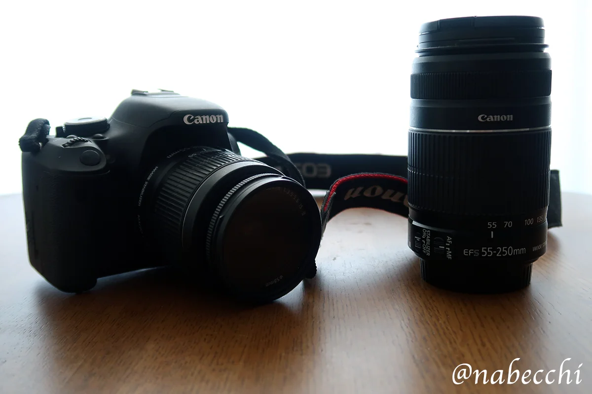 Canon EOS Kiss X5  Wズームセット