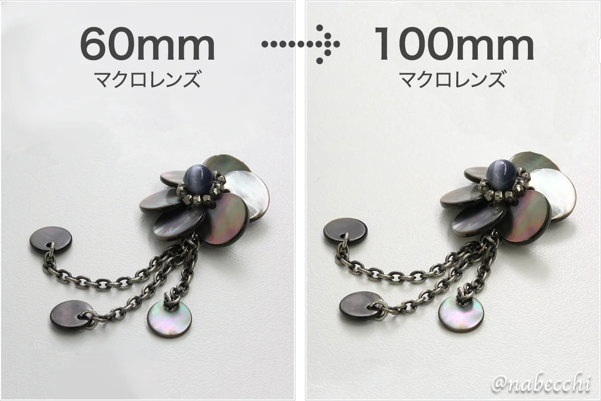 マクロレンズ 60mmと100mmで撮り比べ
