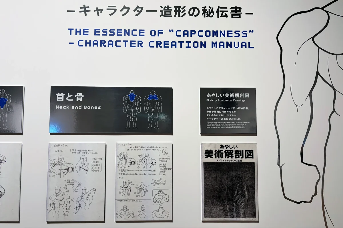 美術解剖図に基づいたキャラクター造形資料