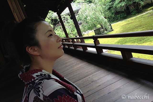浴衣で巡る夏の京都『青蓮院門跡』巨大クスノキと涼を求めて