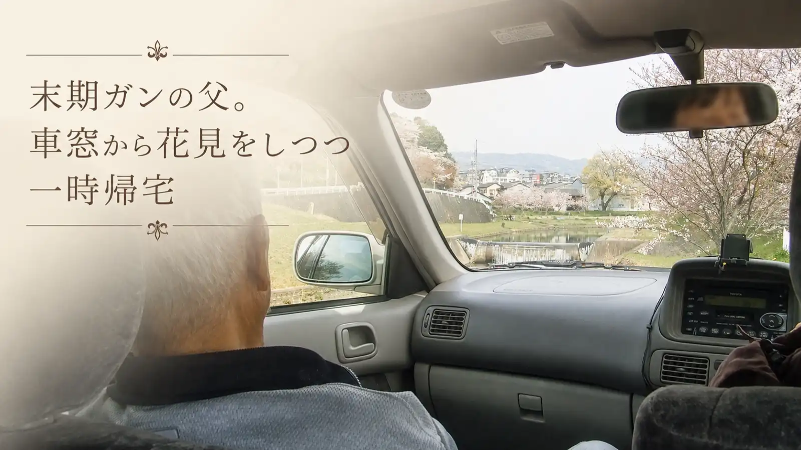 末期ガンの父を乗せた車内から、桜を眺めながら一時帰宅する様子を表したメインビジュアル