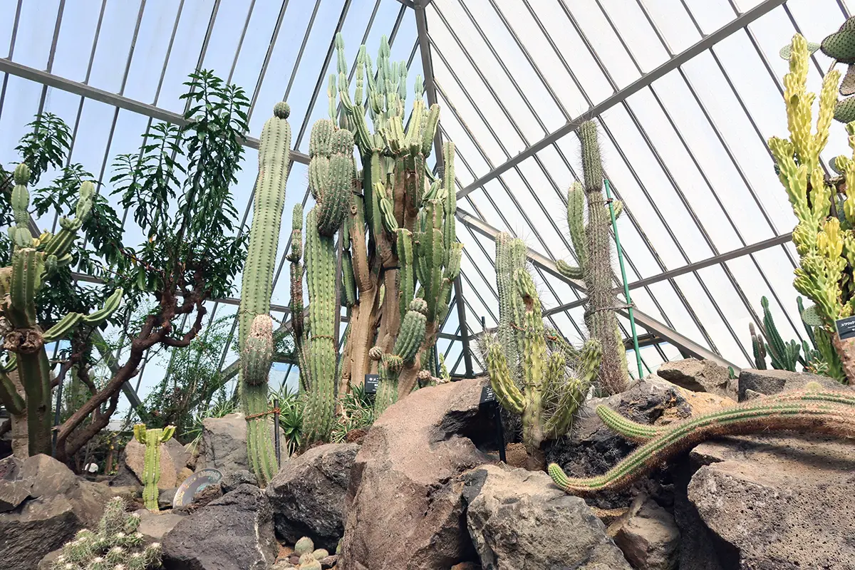 シャボテン温室