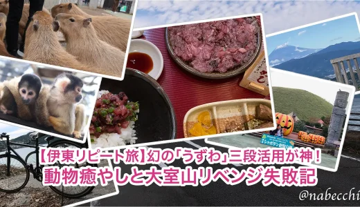 伊東リピート旅｜絶品うずわと動物癒やし、時々ハプニング。