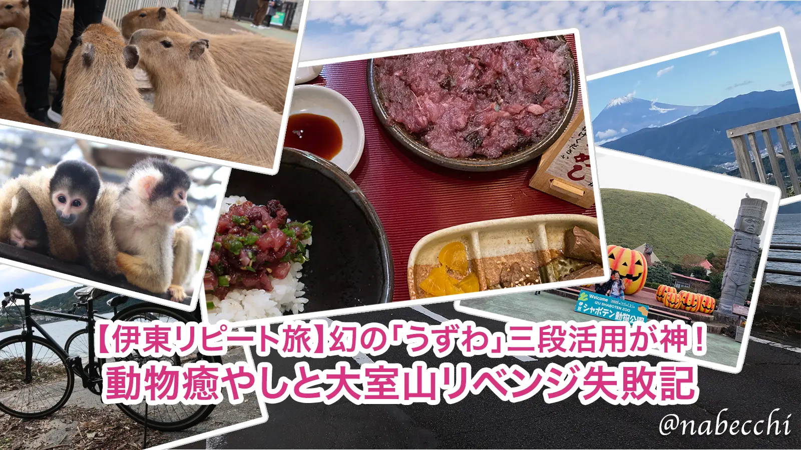 伊東リピート旅のメインビジュアル