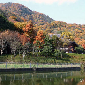 奈良二上山は色鮮やかで紅葉の秋！カンカンと音にびっくりハイキング