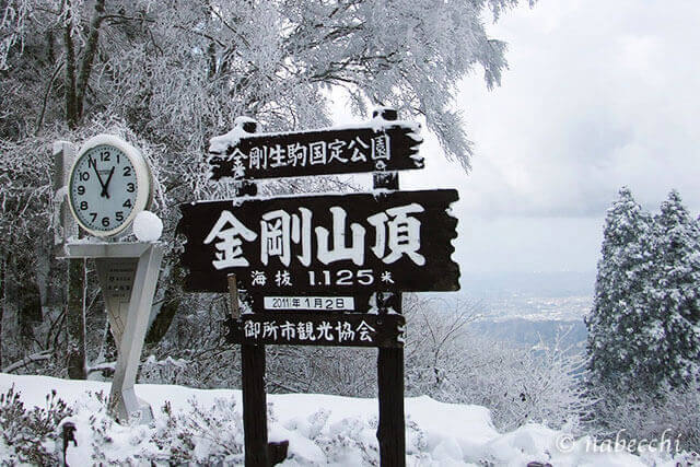 正月に雪が積もった金剛山頂