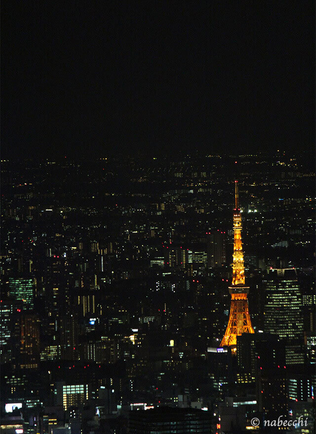 スカイツリーから東京タワー撮影