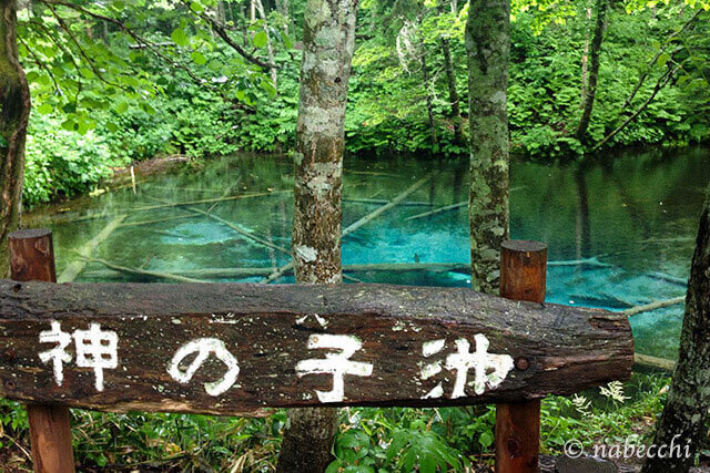 北海道 神の子池