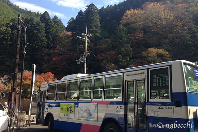 紅葉する京都高雄 バス