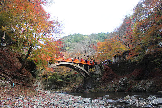 紅葉と橋 槙尾山 西明寺