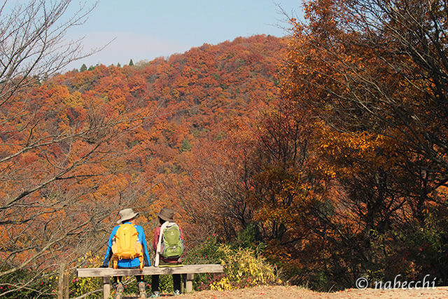 奈良で紅葉見事な穴場スポット「二上山」。秋に桜の「長谷寺」