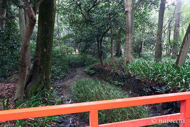 糺の森 下鴨神社