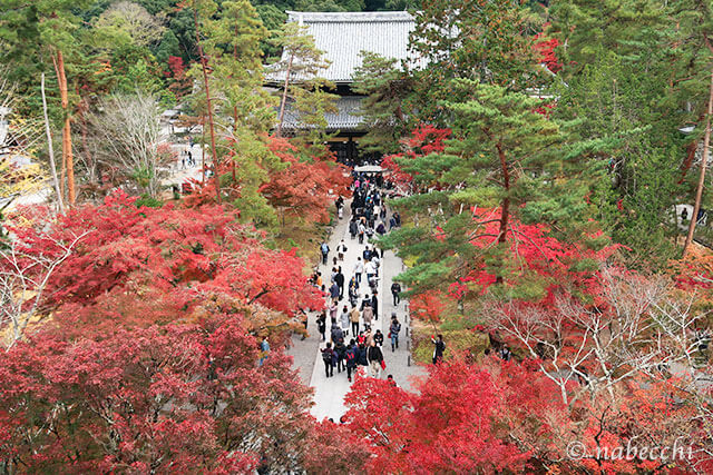 南禅寺三門から見下ろす紅葉