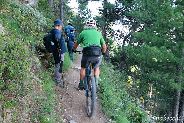 狭いハイキング道で自転車遭遇