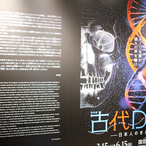古代DNA展で日本人のルーツに出会う - 国立科学博物館へ