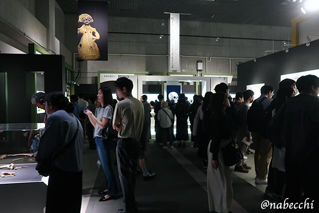 展示会場の様子