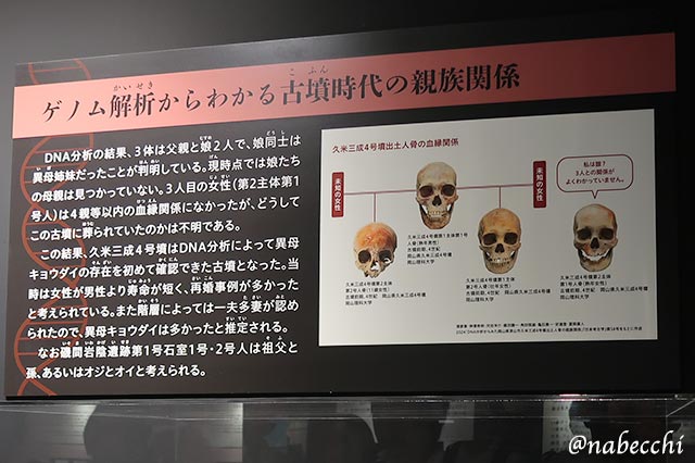 古墳時代の親族関係がわかるDNA分析結果