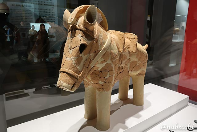 馬形埴輪の展示