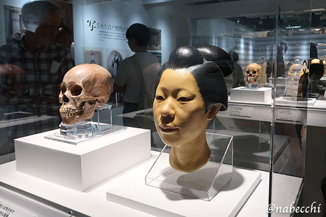 江戸時代町人女性の復顔像