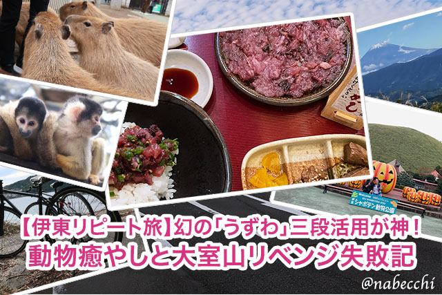 【伊東リピート旅】幻の「うずわ」三段活用が神！動物癒やしと大室山リベンジ失敗記