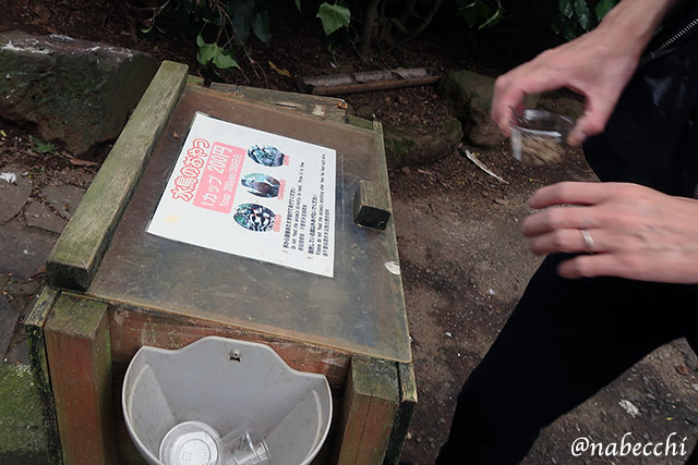 水鳥のおやつ販売所