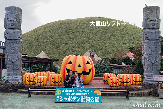 シャボテン動物公園の後ろにある大室山