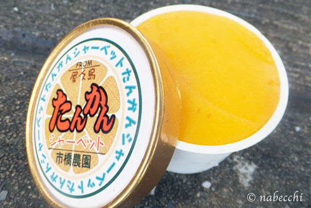 夏の終わりに大阪から屋久島へ！最終日は宮之浦でお土産探し