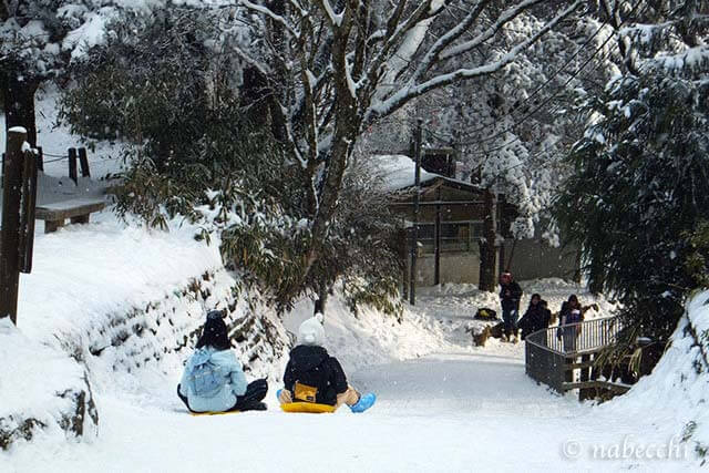 冬の金剛山はソリでgo 雪で最高の遊び場