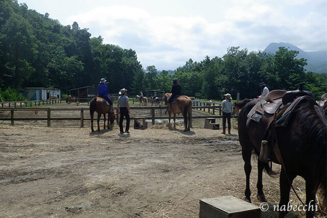 札幌近郊で乗馬体験、初心者でも楽しいホーストレッキング