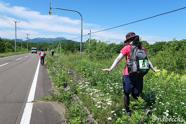 草花が生える歩道を歩く