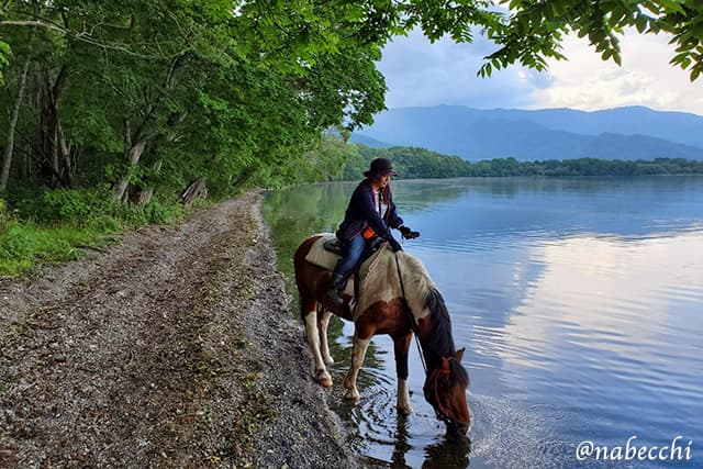 馬で屈斜路湖畔をお散歩