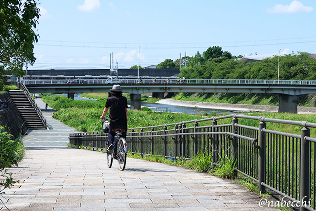 自転車で鴨川沿いを走る